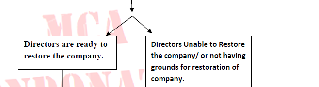 REMOVAL OF DIRECTORS DISQUALIFICATION SCHEME.pdf - Adobe Acrobat Reader DC 2018-03-17 16.18.15