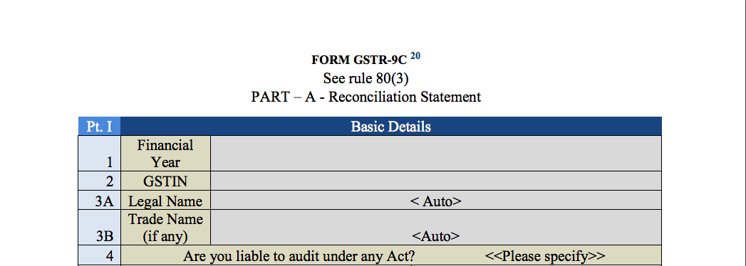 GST audit report part I baisc info